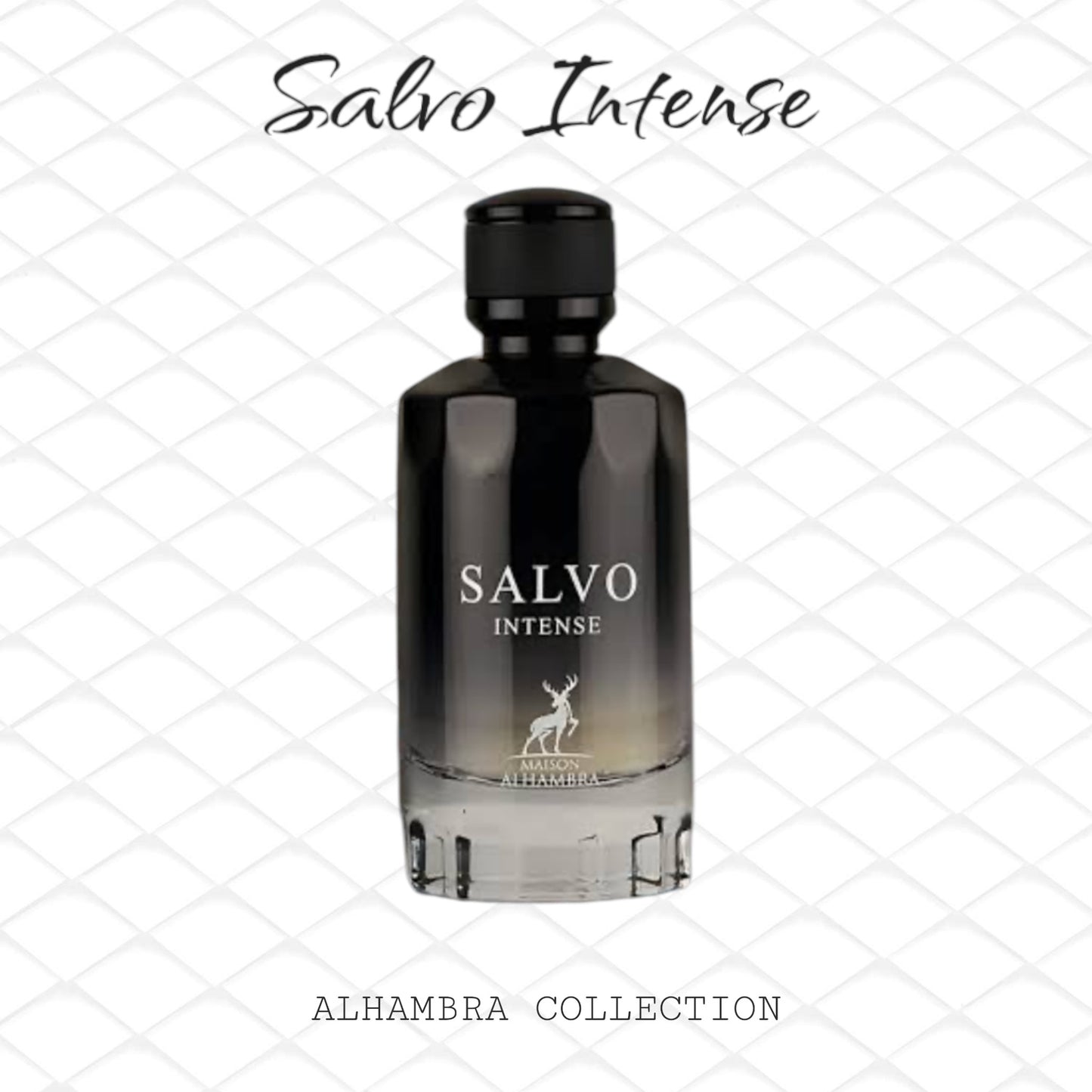 Salvo Intense